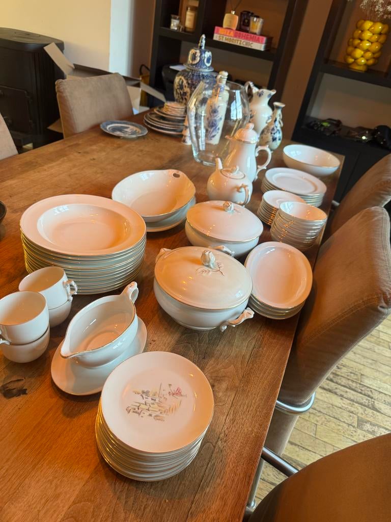 Exclusief ALT FÜRSTENBERG Porseleinen Servies - 55 Stuks, Ophalen