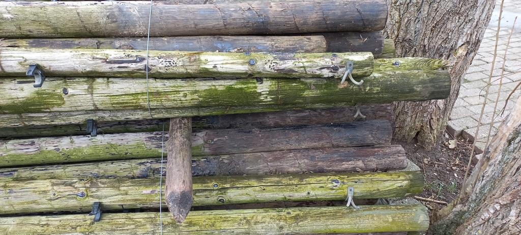 Palen te koop 3 m lang 10 cm doorsnede, Tuin en Terras, Palen, Balken en Planken, Ophalen, Gebruikt, 250 cm of meer, Palen