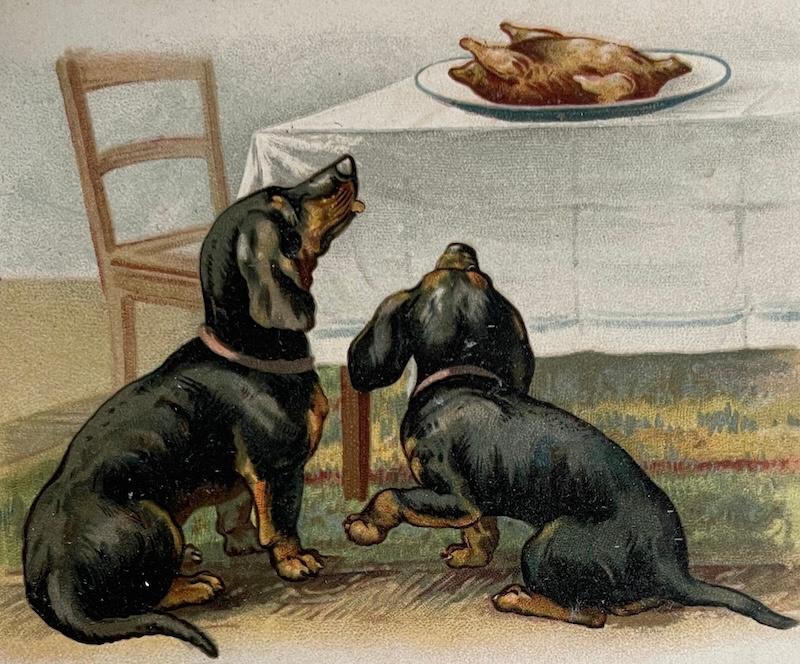 1915 hond teckel tekkels willen kip eten poten te kort, Verzenden, Voor 1920, Gelopen, Overige thema's