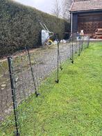 Afrastering voor kippen