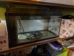 Juwel aquarium 120 liter, Ophalen, Gebruikt, Leeg aquarium