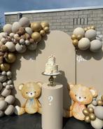Decoratieset - Teddy - Gender Reveal - Styling - Boy - Girl, Ophalen