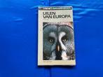 uil bosuil kerkuil oehoe, Ophalen of Verzenden, Zo goed als nieuw, Vogels