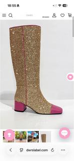 Gezocht: DWRS Laarzen Maat 39/40, Ophalen of Verzenden, Zo goed als nieuw, Hoge laarzen