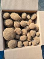 Neptunus ballen ( posidonia oceanica) zeewier ballen, Ophalen of Verzenden, Nieuw