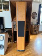 Horning Alkibiades Signature Silver, Gebruikt, Minder dan 60 watt, Front, Rear of Stereo speakers, Ophalen