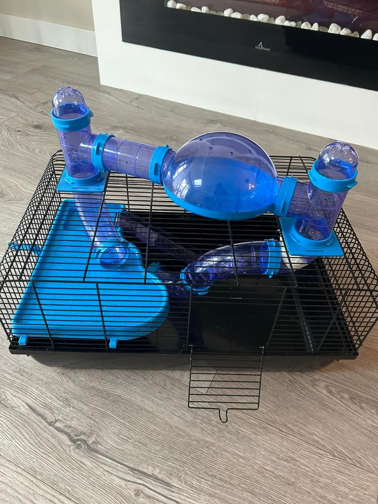 Hamster kooi + accesoires, Dieren en Toebehoren, Kooi, Minder dan 75 cm, Zo goed als nieuw, Hamster