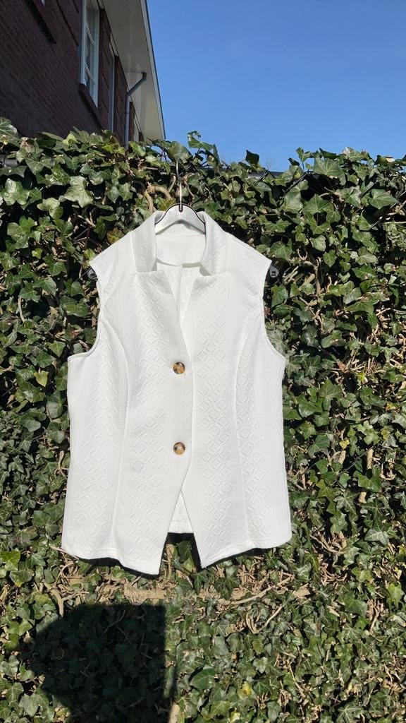Gilet! Nieuw. Nu goedkoop verzenden, Ophalen of Verzenden, Nieuw, Maat 38/40 (M), Wit