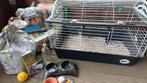 konijnen of caviakooi voor binnen, Kooi, Zo goed als nieuw, Konijn, 75 tot 110 cm