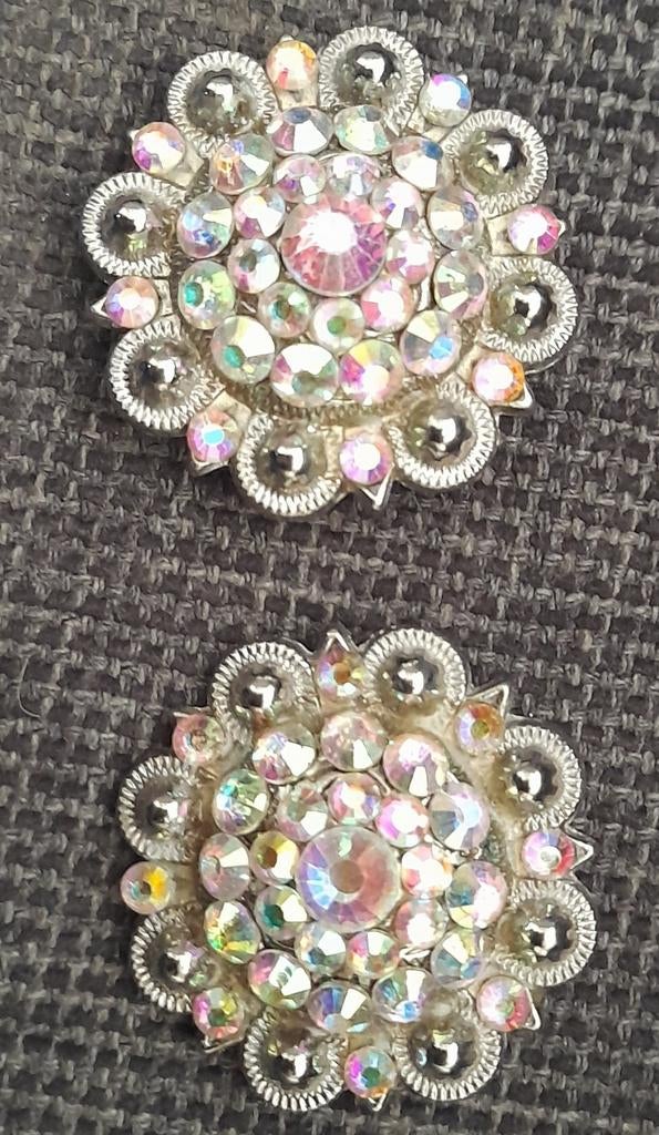 Conchos voor paardenzadel, Dieren en Toebehoren, Ophalen of Verzenden, Overige soorten