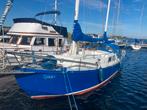 One-off stalen Waterwitch 39ft, Ophalen, Gebruikt, Staal, Diesel