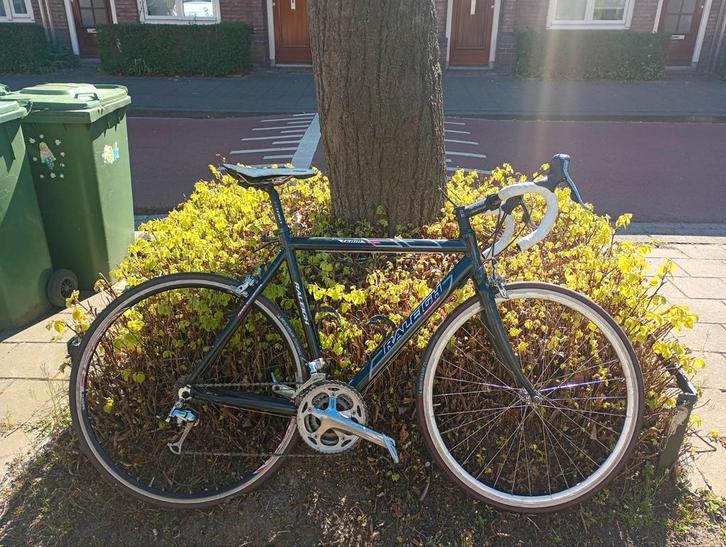 Raleigh team racefiets 55cm, Fietsen en Brommers, Fietsen | Racefietsen, Gebruikt, Heren, Overige merken, Meer dan 20 versnellingen