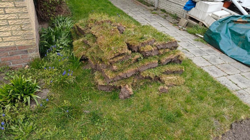 GRATIS Graszoden 10m2, Tuin en Terras, Ophalen, Nieuw, 10 tot 20 m²