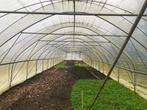 tunnelkas, Gebruikt, Folie, Kweekkas, Ophalen