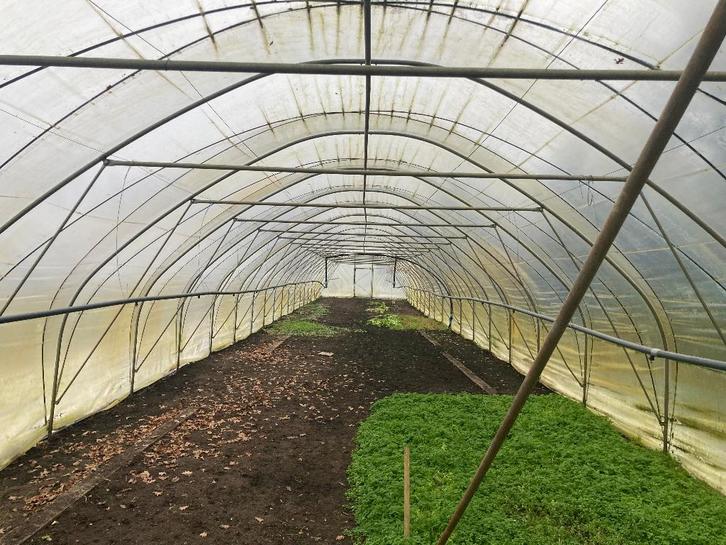 tunnelkas, Tuin en Terras, Kassen, Gebruikt, Kweekkas, Staal, Folie, Ophalen