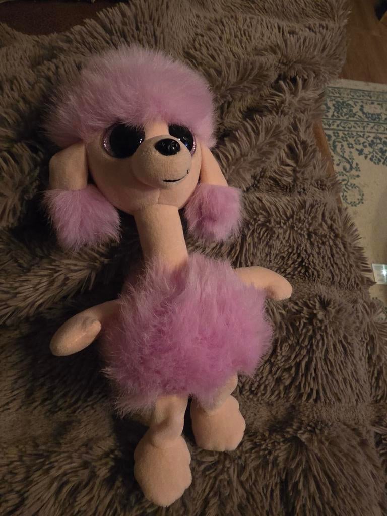 Ty knuffel hond Poedel ZGAN, Ophalen of Verzenden, Zo goed als nieuw, Hond