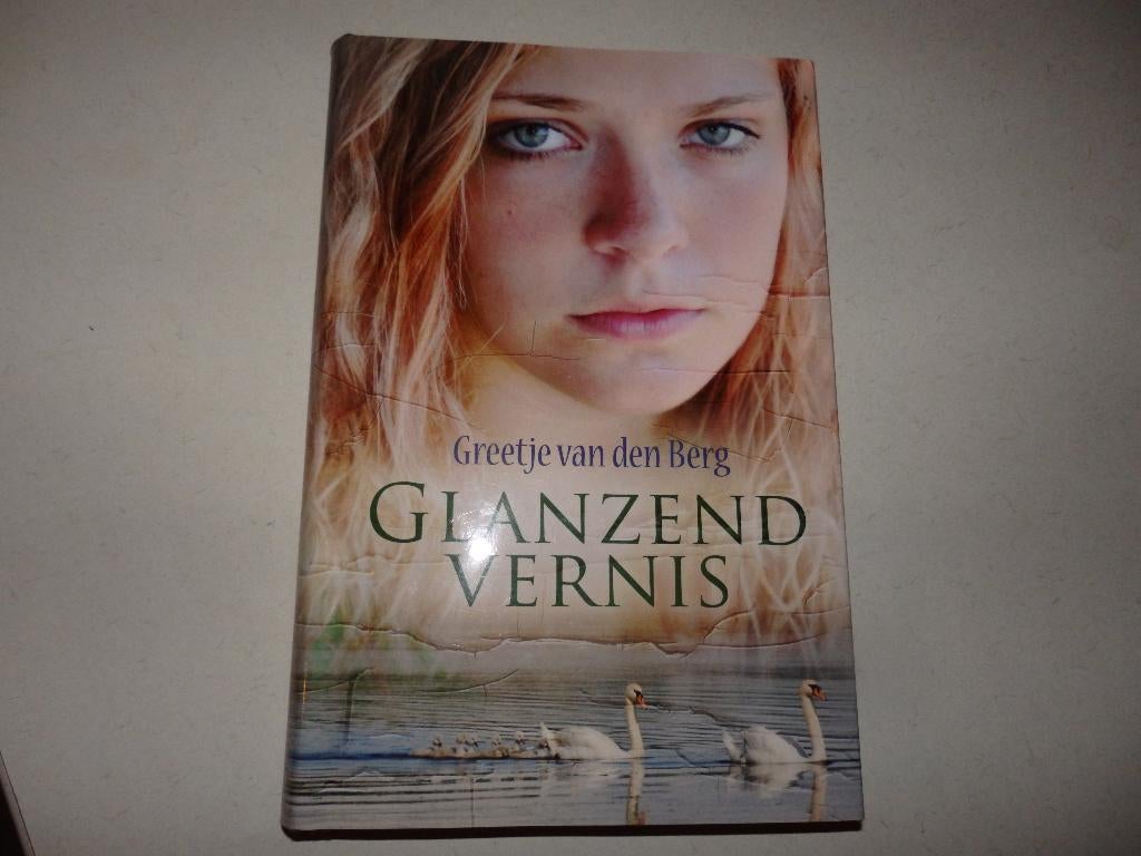 Glanzend vernis,  Greetje van den Berg, Boeken, Ophalen of Verzenden, Zo goed als nieuw, Noord-Brabant