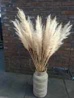 Pampus grassen, Ophalen