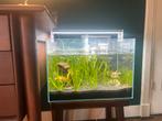 Auqarium alles erop en eraan, Ophalen, Gebruikt, Gevuld zoetwateraquarium