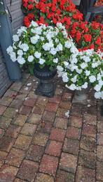 6x Louvre planten potten of vazen, zie beschrijving, Ophalen