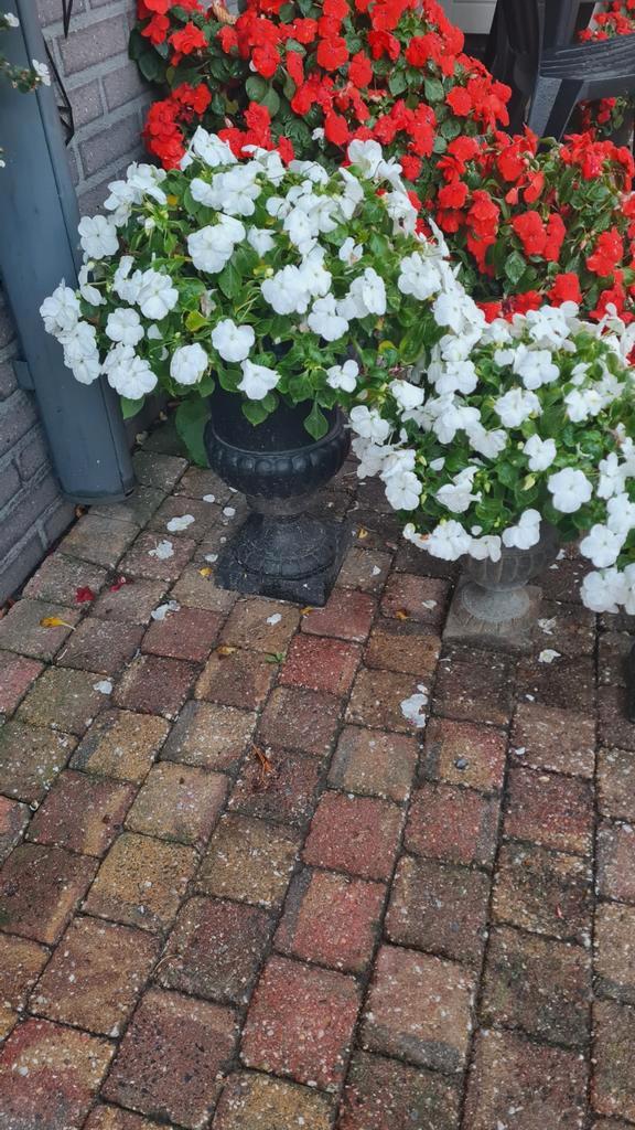 6x Louvre planten potten of vazen, zie beschrijving, Tuin en Terras, Tuinvazen, Ophalen