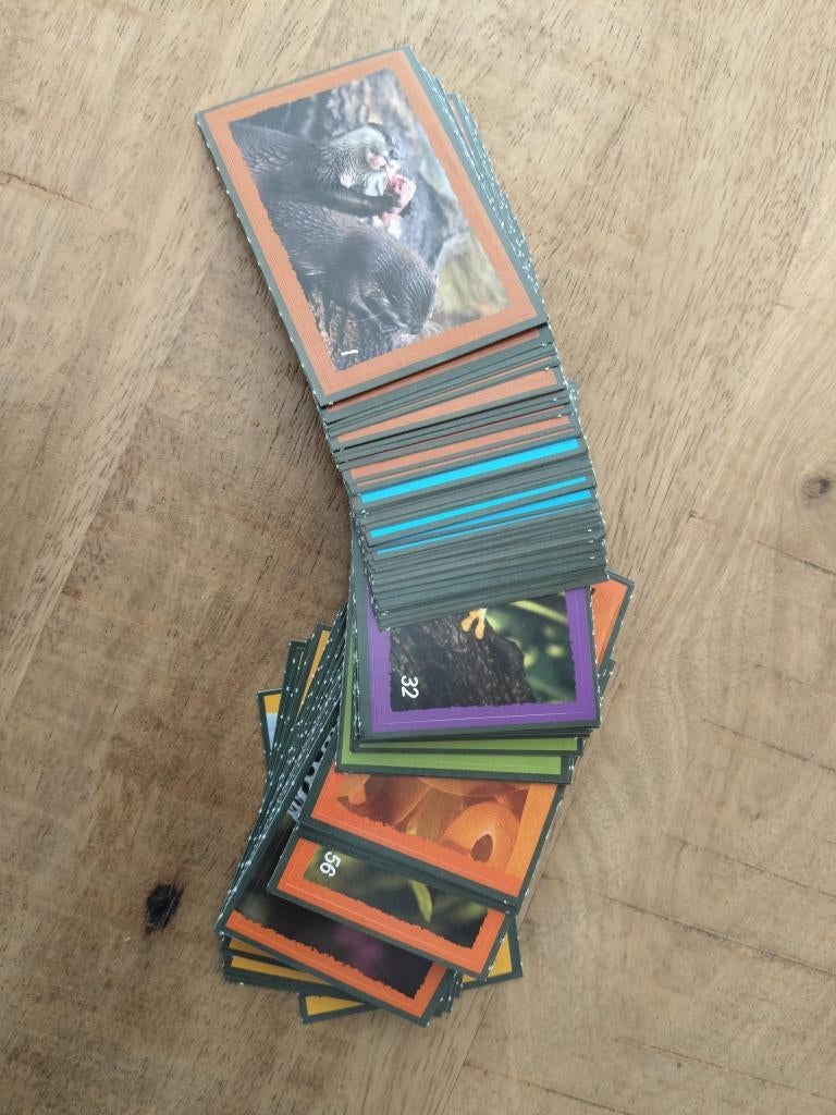 Artis stickers Dekamarkt, Albert Heijn, Ophalen of Verzenden