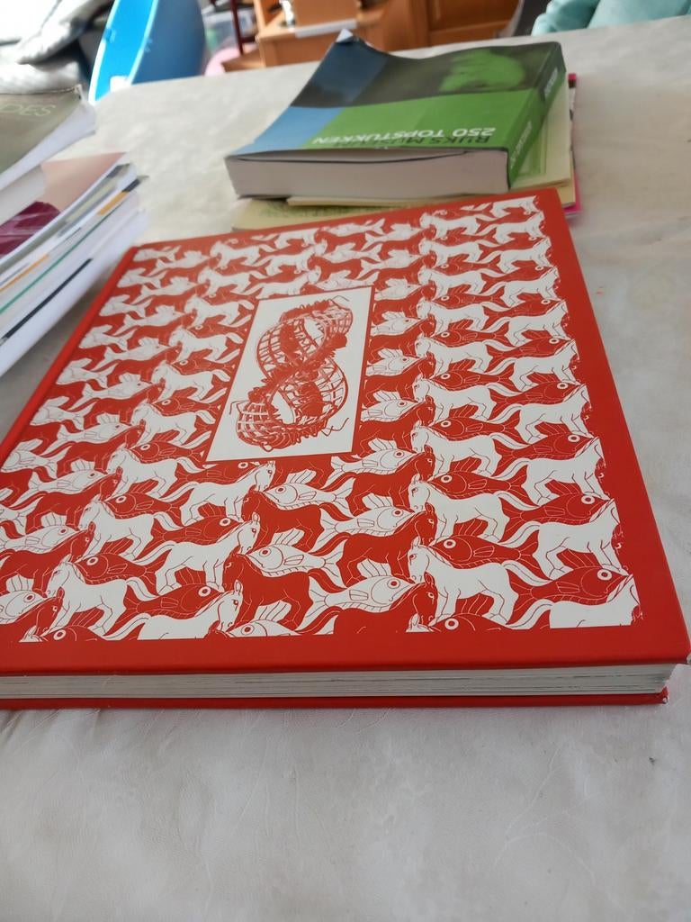 De Magie van M.C. Escher boek, Boeken, Ophalen of Verzenden, Gelezen