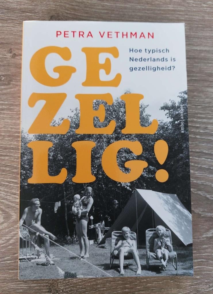 Petra Vethman - Gezellig!, Ophalen of Verzenden, Zo goed als nieuw, Nederlands