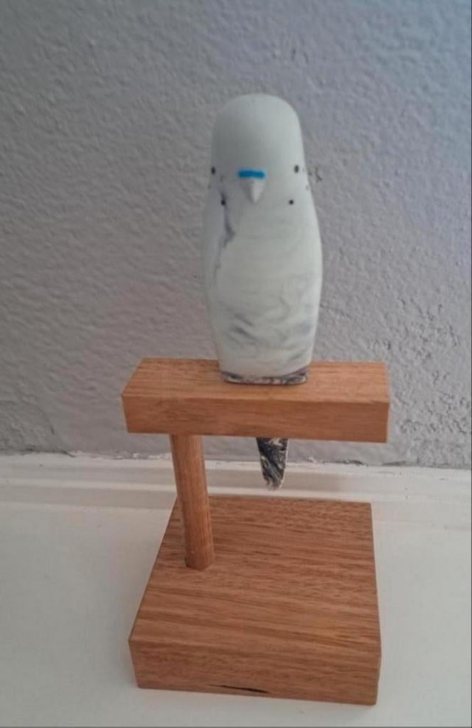 Pete Cromer parkiet met standaard plus tasje, Ophalen of Verzenden, Zo goed als nieuw