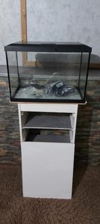 Aquarium superfisch compleet, 56x38x32 (evt. met inhoud), Ophalen, Gebruikt, Leeg aquarium, Overige merken