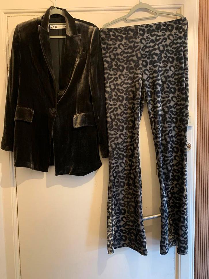 Fluwelen blazer Zara XS (valt als S) en broek Costes S, Kleding | Dames, Broeken en Pantalons, Nieuw, Maat 36 (S), Grijs, Ophalen of Verzenden
