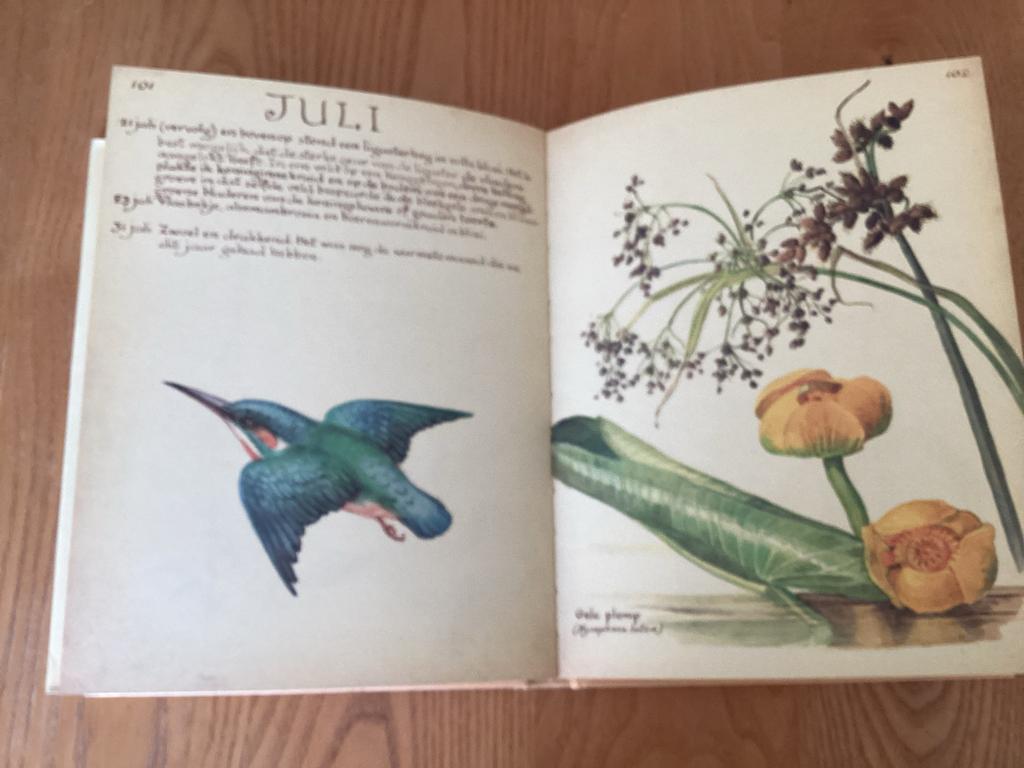 Dagboek Engelse dame 1906: Flora & Fauna Aquarellen, Boeken, Natuur, Ophalen of Verzenden, Gelezen, Natuur algemeen