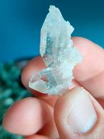 Heldere Apofyliet, Ophalen of Verzenden