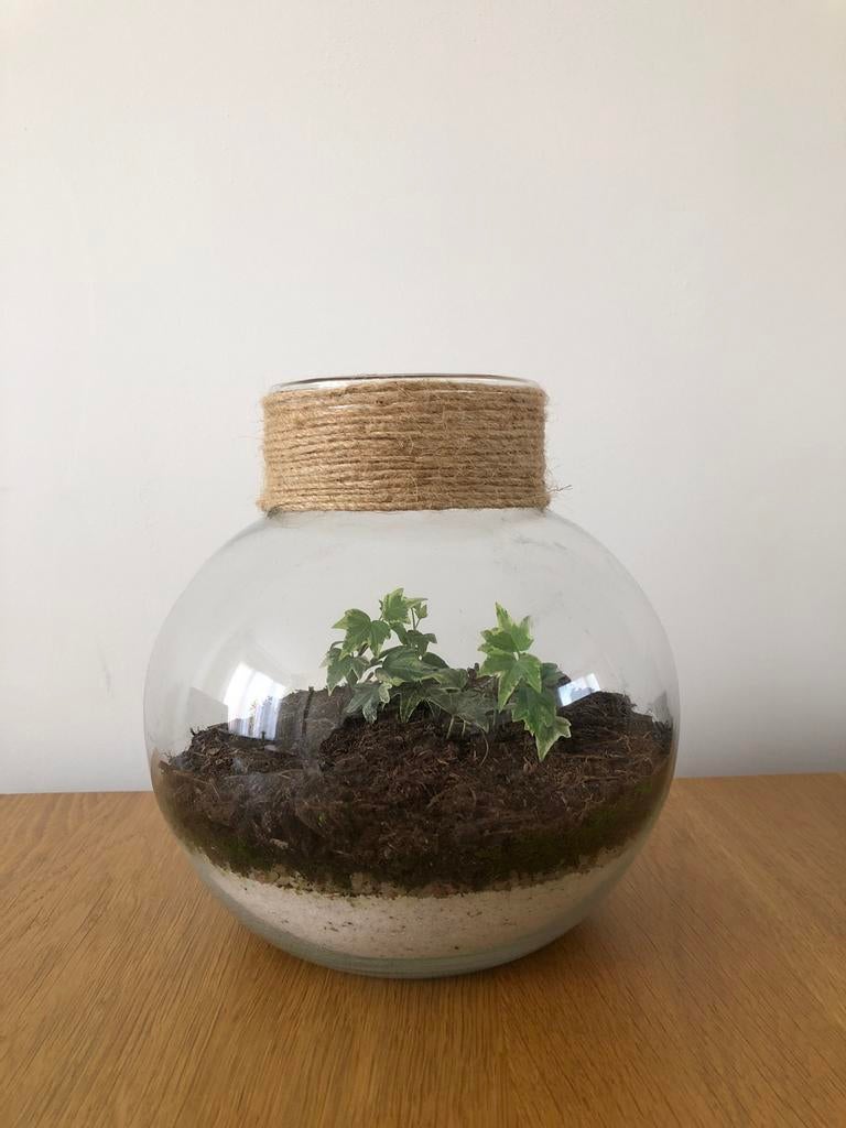 Vaas / stolp, Ophalen, Overige kleuren, Minder dan 50 cm, Glas