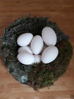 Ganzeneieren, Dieren en Toebehoren, Pluimvee, Meerdere dieren, Overige soorten
