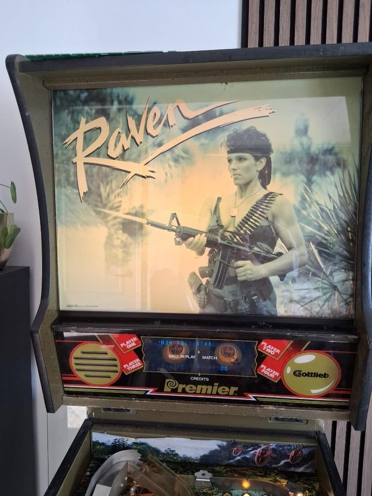 Flipperkast Raven, Verzamelen, Ophalen, Gebruikt, Flipperkast, Bally