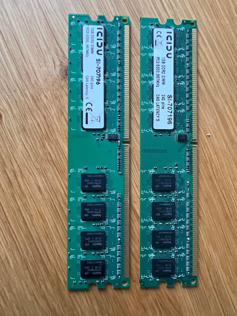 2x 1GB DDR2 DIMM RAM Geheugen PC2-5300 667MHz, Computers en Software, RAM geheugen, Gebruikt, Server, 2 GB, DDR2, Ophalen of Verzenden