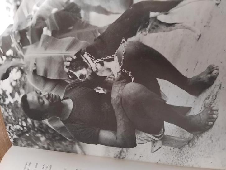 Faja Lobbi - Herman van der Horst (1960), Boeken, Overige Boeken, Gelezen, Ophalen of Verzenden