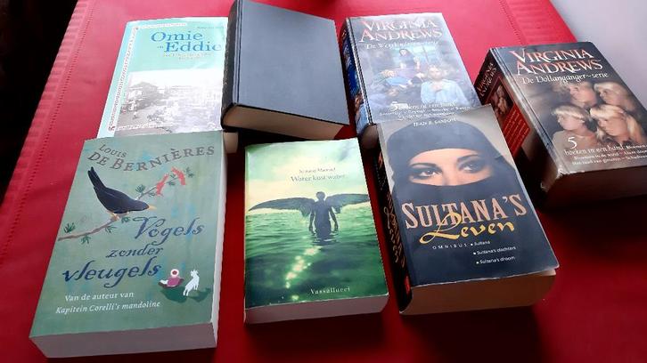 Boeken Trillers, Boeken, Thrillers, Zo goed als nieuw, Nederland, Ophalen of Verzenden