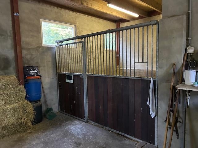 paardenstalling /Weidegang, Weidegang, 2 of 3 paarden of pony's