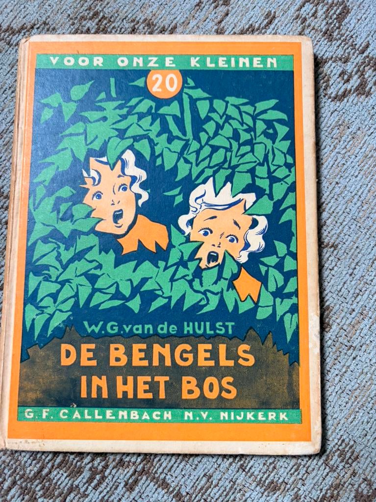 W.G. van de Hulst - De bengels in het bos, Boeken, Ophalen of Verzenden, Gelezen, Fictie algemeen
