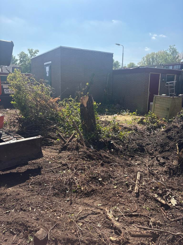 GRATIS Boomstammen Tuin opruimen en grondwerk, Ophalen of Verzenden, Gebruikt