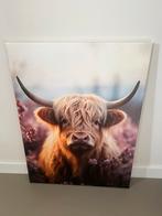 Canvas schotse hooglander €10,- afhaal, Ophalen, Zo goed als nieuw, Schilderij, 75 cm of meer