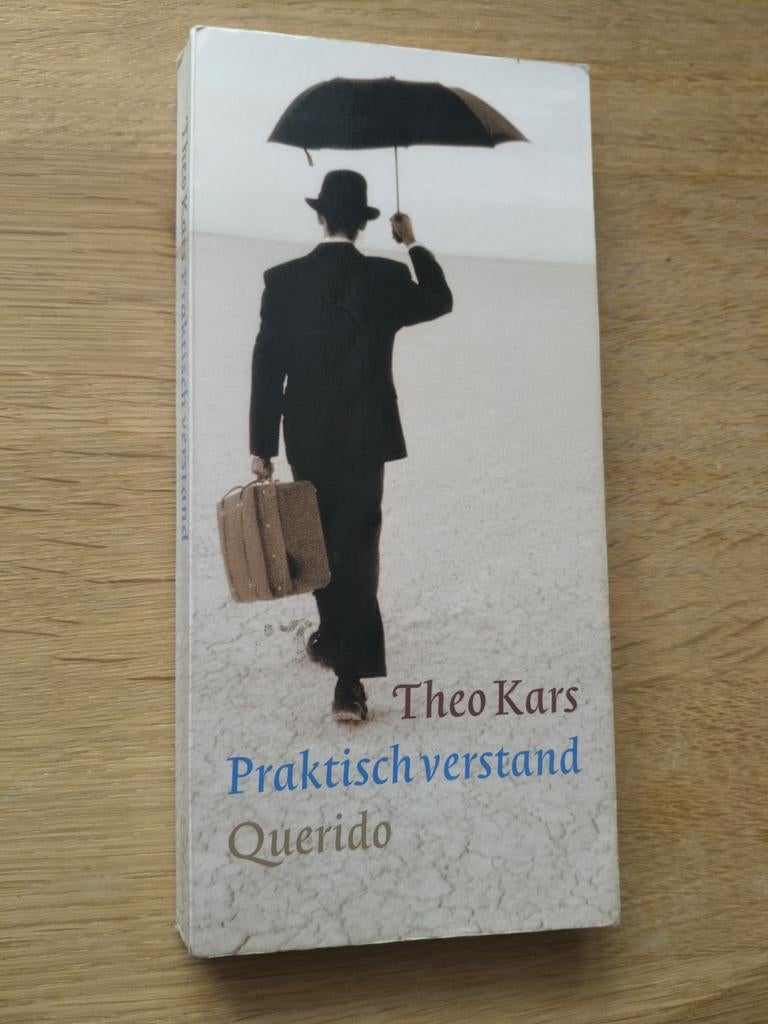 Theo Kars - Praktisch verstand, Ophalen of Verzenden, Zo goed als nieuw, Theo Kars