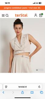 Gezocht Gilet terstal zie foto’s, Ophalen of Verzenden, Zo goed als nieuw, Maat 36 (S), Overige kleuren