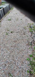 Gratis rood grind af te halen, Tuin en Terras, Grind, Keien en Split, Ophalen, Gebruikt, Rood, Grind