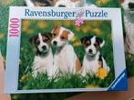 Jack Russell puppy's Ravensburger 1000 stukjes, Ophalen of Verzenden, 500 t/m 1500 stukjes, Zo goed als nieuw, Legpuzzel