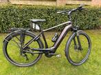 Giant DailyTour E+3 Heren E-bike - 625Wh accu, Rosewood, Fietsen en Brommers, Elektrische fietsen, Ophalen of Verzenden