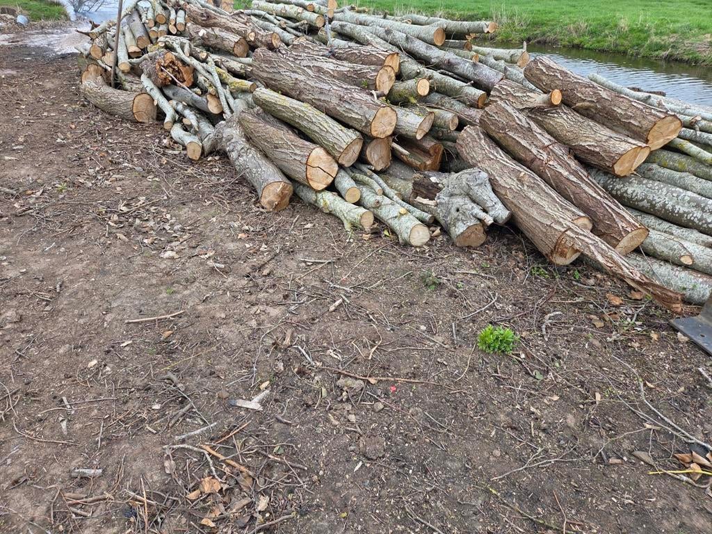 Haardhout mix: Es, Beuk, Kastanje, Eik, Wilg - 30 kuub, 6 m³ of meer, Ophalen of Verzenden, Overige houtsoorten, Stammen