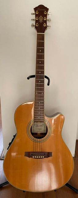 Ibanez AE50S akoestische gitaar (1995), Ophalen, Gebruikt, Western- of Steelstringgitaar
